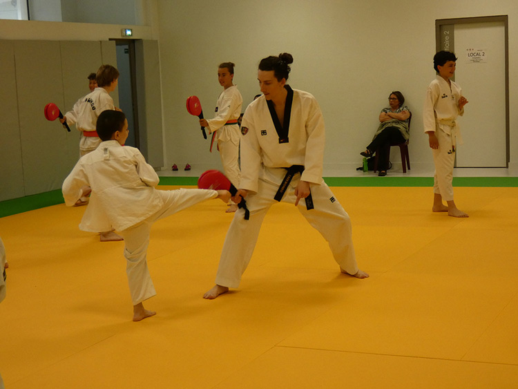 Taekwondo Hapkido Poitiers